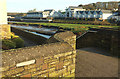 Camel at Wadebridge