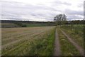 Farm road, Gourdie