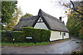 TL4948 : Adams Cottage by N Chadwick