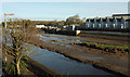 River Camel at Wadebridge