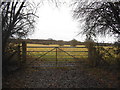 Field entrance by Nashdom Lane, Burnham