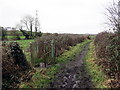 Cyffordd o Lwybrau / Junction of Paths