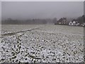 SO7844 : Malvern Common in snow by Philip Halling