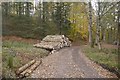 Log stacks, Fordie Hill