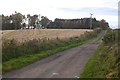 Road to Muirhead of Kincairney