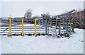 Gates onto Discovery Road, Stourport-on-Severn