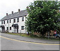 Postbox under a Church Road tree, Chepstow