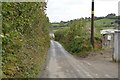 Narrow Cornish Lane