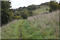 Footpath, Western Heights