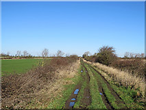 TL4977 : Byway to Witchford by John Sutton