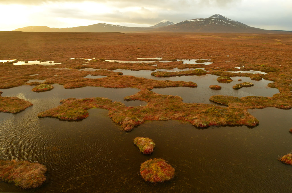 Wetland in the Flow Country, Scotland, © Andrew Tryon :: Geograph 