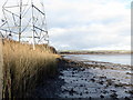 Aber Llwchwr / Loughor Estuary