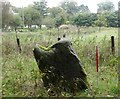 NJ7719 : Broomend of Crichie stone row by Sandy Gerrard