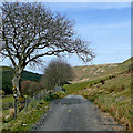 SN8057 : Drover's road near Nant-ystalwyn, Cwm Tywi, Powys by Roger  D Kidd