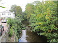 The River Sid above Salcombe Road Bridge