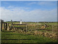 Footpath crossing the railway north of Hodthorpe