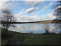 Ruislip Lido in winter