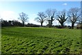 Field beside a dismantled railway