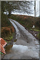 Mid Devon : Country Lane