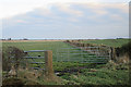 Fields near Boghead