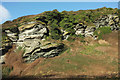 Cliff face above Trebarwith Strand