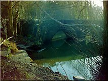ST6176 : Wickham Bridge Stapleton by norman griffin