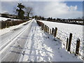 Brightening up along Faccary Road