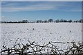 Field under snow