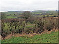 Llwybr Llanfihangel Cilfargen / Llanfihangel Cilfargen Path