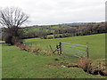 Llwybr cyhoeddus ger Tyle / A public footpath near Tyle