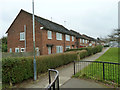 Houses on Courtenay Avenue