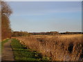 Bottesford Beck Linear Park