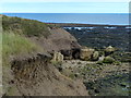 Eroding shoreline at Whitburn