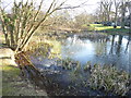 Pond on Uxbridge Common