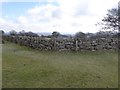 The edge of farmland, Easdon Tor