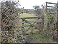 Gateway to Easdon Tor, Langdon