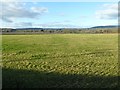 Farmland near Marston