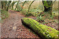 Bridleway, Mutton