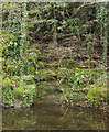 Quarry near Dinham