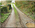 Footpath past Rocksea Mill Cottage