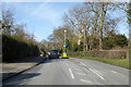 A290 St. Thomas Hill