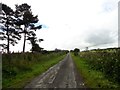 View up the lane