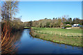 River Wey at Tilford