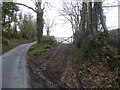 Track to a field gate, near Yarde