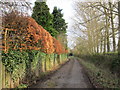 Footpath to Barton Street