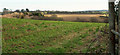 Farmland east of St Mabyn