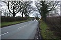 Road past Norman Hall farm