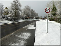 H4772 : Snow, Donaghanie Road, Campsie by Kenneth  Allen