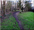 Path into woodland, Undy