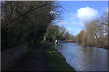 SP9908 : Grand Union canal path at Berkhamsted by Robert Eva